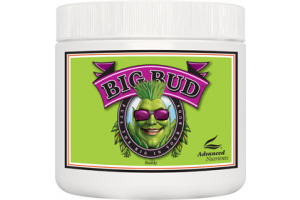 Advanced Nutrients Big Bud Powder 10kg