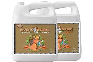 Advanced Nutrients pH Perfect Sensi Coco Bloom Part B 500 ml